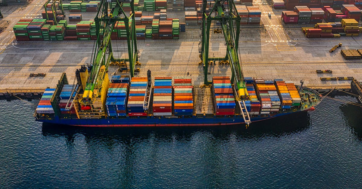 Roundup of Common Customs Clearance Mistakes to Avoid